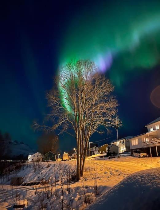 Leilighet I Nord Tromsø Buitenkant foto