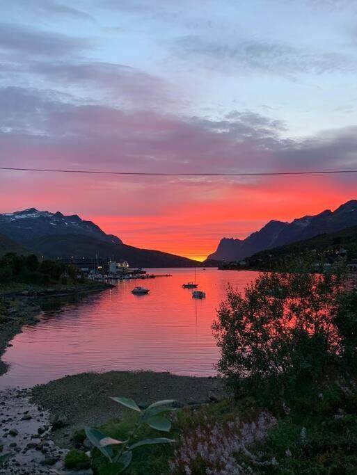Leilighet I Nord Tromsø Buitenkant foto